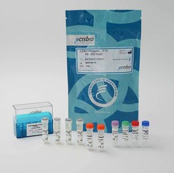Revvity Health Sciences Inc&nbsp;HTRF Human & Mouse Phospho-CDK2 (Tyr15) Detection Kit, 10,000 Assay Points
