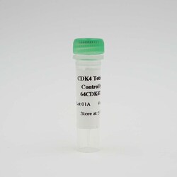 Revvity Health Sciences Inc&nbsp;HTRF Human & Mouse Total CDK4 Detection Kit, Control Lysate