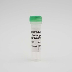 Revvity Health Sciences Inc&nbsp;HTRF Human Total CDK6 Detection Kit, Control Lysate
