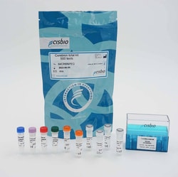 Revvity Health Sciences Inc&nbsp;HTRF Human and Mouse Total Cereblon Detection Kit, 500 Assay Points