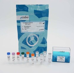 Revvity Health Sciences Inc HTRF Human and Mouse Total Cereblon Detection