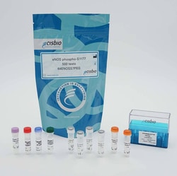 Revvity Health Sciences Inc&nbsp;HTRF Human Phospho-eNOS (Ser1177) Detection Kit, 10,000 Assay Points