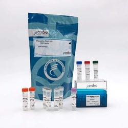 Revvity Health Sciences Inc HTRF Human & Mouse Phospho-FAK (Tyr397) Detection