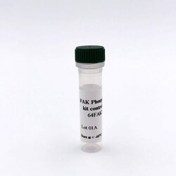 Revvity Health Sciences Inc HTRF Human & Mouse Phospho-FAK (Tyr397) Detection