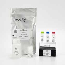 Revvity Health Sciences Inc&nbsp;HTRF FcRn Binding kit, 500 Assay Points