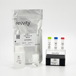 Revvity Health Sciences Inc HTRF FcRn Binding kit, 100 Assay Points, Quantity:
