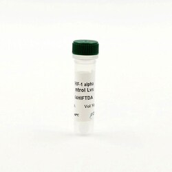 Revvity Health Sciences Inc HTRF Human Detection Kit, Control Lysate, Quantity: