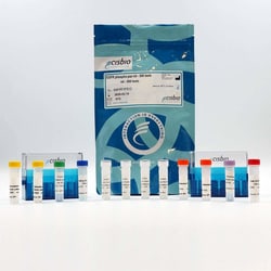 Revvity Health Sciences Inc&nbsp;HTRF Human Pan-Phospho- EGFR Detection Kit, 10,000 Assay Points