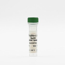 Revvity Health Sciences Inc HTRF Human & Mouse Phospho-c-Jun (Ser63) Detection