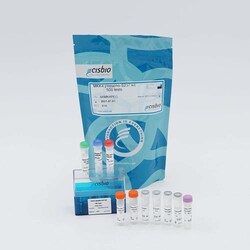 Revvity Health Sciences Inc&nbsp;HTRF Human Phospho-MKK4 (Ser257) Detection Kit, 10,000 Assay Points