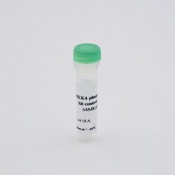 Revvity Health Sciences Inc HTRF Human Phospho-MKK4 (Ser257) Detection