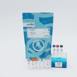 Revvity Health Sciences Inc HTRF Human & Mouse Total ACC Detection Kit,