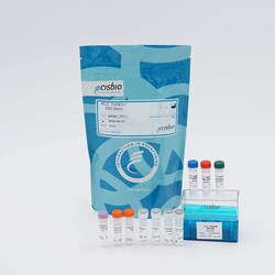 Revvity Health Sciences Inc HTRF Human & Mouse Total ACC Detection Kit,