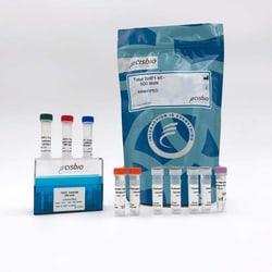 Revvity Health Sciences Inc HTRF Human Total SHP1 Detection Kit, 10,000