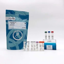 Revvity Health Sciences Inc HTRF Human & Mouse Total SHP2 Detection Kit,