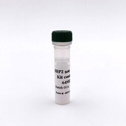 Revvity Health Sciences Inc HTRF Human & Mouse Total SHP2 Detection Kit,