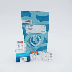 Revvity Health Sciences Inc&nbsp;HTRF Human Total MKK4 Detection Kit, 500 Assay Points