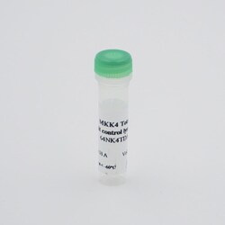 Revvity Health Sciences Inc HTRF Human Total MKK4 Detection Kit, Control Lysate