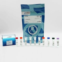 Revvity Health Sciences Inc HTRF Human Total HER2 Detection Kit, 10,000