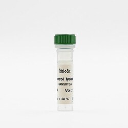 Revvity Health Sciences Inc HTRF Human & Mouse Total c-Src Detection Kit,