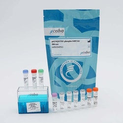 Revvity Health Sciences Inc&nbsp;HTRF Human and Mouse Phospho-p62/SQSTM1 (Ser403) Detection Kit, 10,000 Assay Points