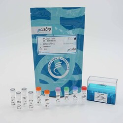 Revvity Health Sciences Inc HTRF Human 1 Detection Kit, 500 Assay Points,