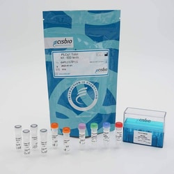 Revvity Health Sciences Inc&nbsp;HTRF Human & Mouse Total PLC-&gamma;1 Detection Kit, 10,000 Assay Points