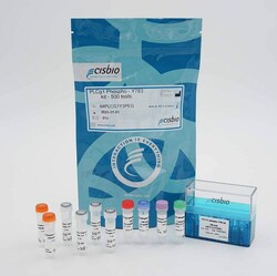 Revvity Health Sciences Inc&nbsp;HTRF Human & Mouse Phospho-PLC-&gamma;1 (Tyr783) Detection Kit, 10,000 Assay Points