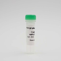Revvity Health Sciences Inc HTRF Human Phospho-PLC- 2 (Tyr1217) Detection