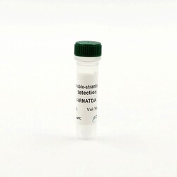 Revvity Health Sciences Inc&nbsp;HTRF Viral dsRNA Detection Kit, Control Lysate
