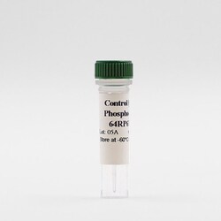 Revvity Health Sciences Inc HTRF Human & Mouse Phospho-S6RP (Ser235/236)