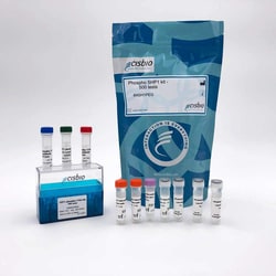 Revvity Health Sciences Inc HTRF Human Phospho-SHP1 (Tyr564) Detection Kit, 10,000 Assay Points