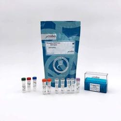 Revvity Health Sciences Inc&nbsp;HTRF Human & Mouse Phospho-SHP2 (Tyr542) Detection Kit, 500 Assay Points