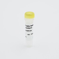 Revvity Health Sciences Inc HTRF Human CD47 / SIRP- Binding Kit Standard,