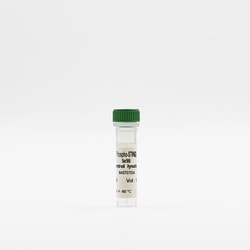 Revvity Health Sciences Inc HTRF Human Phospho-STING (Ser366) Detection