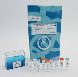 Revvity Health Sciences Inc&nbsp;HTRF Human Phospho-SYK (Tyr525/526) Detection Kit, 500 Assay Points