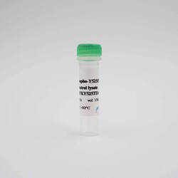 Revvity Health Sciences Inc HTRF Human Phospho-SYK (Tyr525/526) Detection