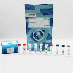 Revvity Health Sciences Inc&nbsp;HTRF Human & Mouse Phospho-TBK1 (Ser172) Detection Kit, 10,000 Assay Points