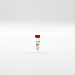 Revvity Health Sciences Inc HTRF Anti histone H3K9 Me2-EuK mAb conjugate,