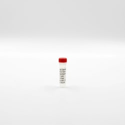 Revvity Health Sciences Inc HTRF Anti histone H3K27 Me1-EuK mAb conjugate,