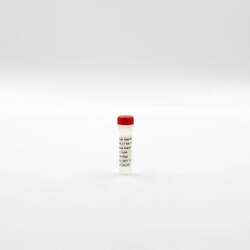 Revvity Health Sciences Inc HTRF Anti histone H3K27 Me1-EuK mAb conjugate,