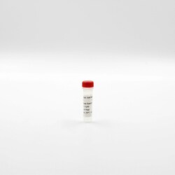 Revvity Health Sciences Inc HTRF Anti histone H3K27 Me3-EuK mAb conjugate,