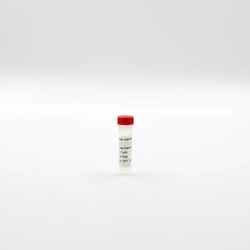 Revvity Health Sciences Inc HTRF Anti histone H3K27 Me3-EuK mAb conjugate,
