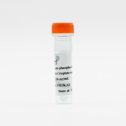 Revvity Health Sciences Inc HTRF pAb Anti-Phospho-PKC substrate Eu-Conjugate,