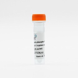 Revvity Health Sciences Inc HTRF mAb Anti-Phospho-p44/42 (Thr202/Tyr204)
