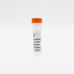 Revvity Health Sciences Inc HTRF mAb Anti-Phospho-CREB (Ser133) Eu-Conjugate,