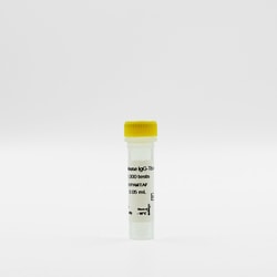 Revvity Health Sciences Inc HTRF pAb Anti-Mouse IgG Tb-Conjugate, 1,000