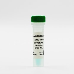 Revvity Health Sciences Inc HTRF pAb Anti-Rabbit IgG d2-Conjugate, 5,000