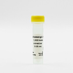 Revvity Health Sciences Inc HTRF pAb Anti-Rabbit IgG Tb-Conjugate, 5,000
