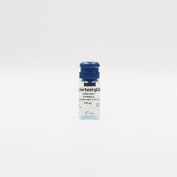 Revvity Health Sciences Inc HTRF pAb Anti-Rabbit IgG XL665-Conjugate, 20,000
